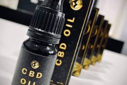 CBD KAPKY 10% / CBD OIL 10%